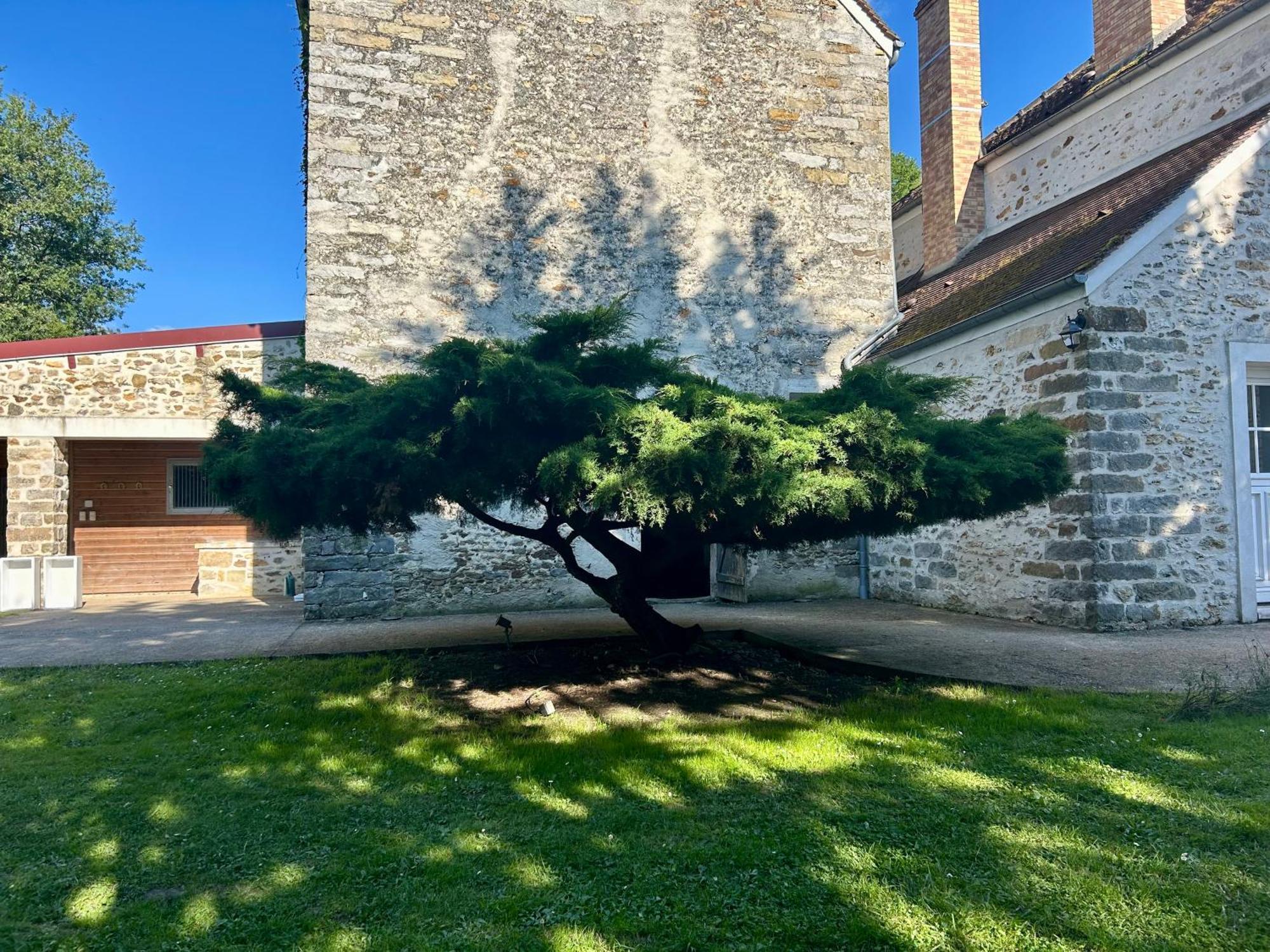 Le Domaine De Brie Chatillon-la-Borde Exterior foto